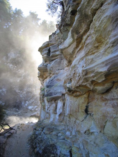 Waiotapu Thermal Park, Rotorua, North Island