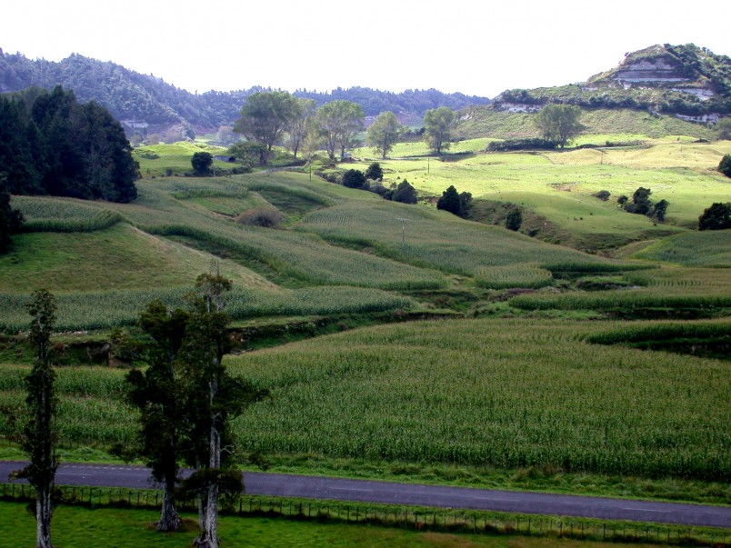Uruti, Taranaki, North Island