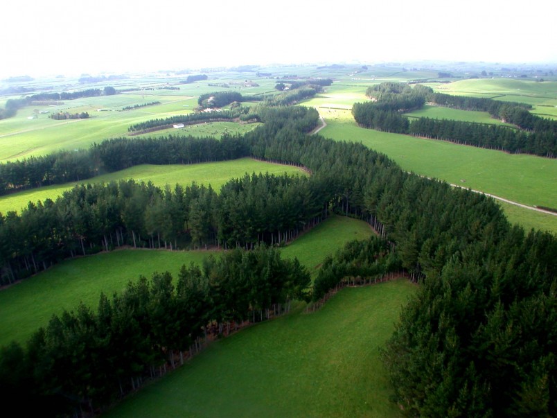 Farmland near Eltham, Taranaki, North Island