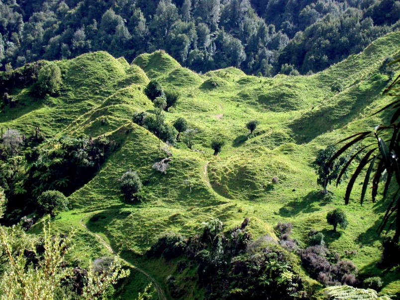Uruti, Taranaki, North Island