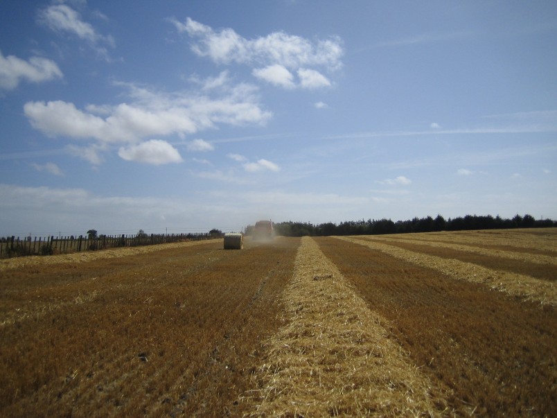 Red Woolshed Farm, Manawatu-Wanganui, North Island