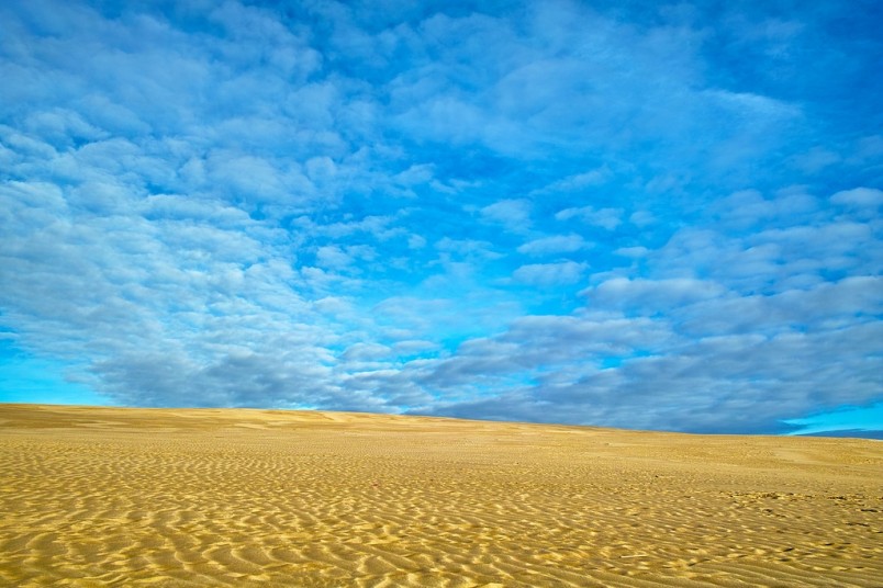 Ninety Mile Beach, Northland, North Island