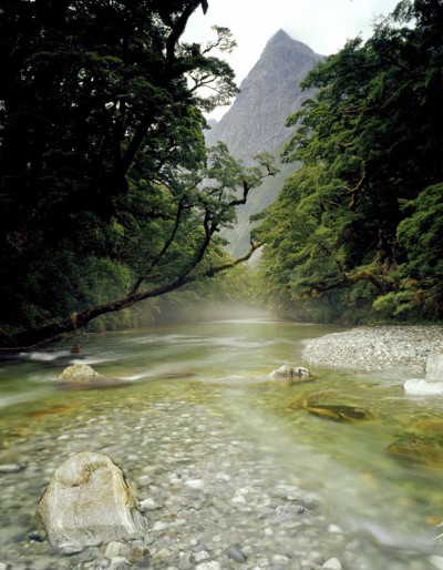 Stream near Milford, Southland, South Island