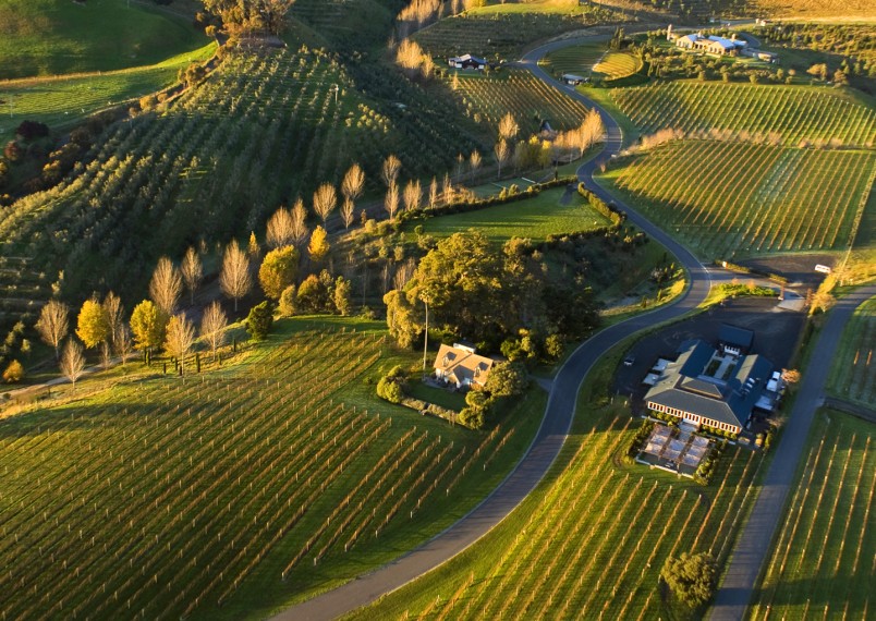 Black Barn Vineyard, Havelock North, North Island