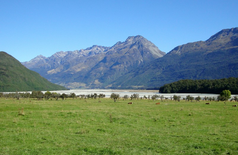 Dart River, Central Otago, South Island