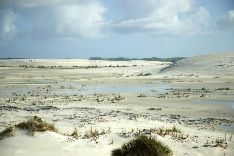 Great Exhibition Bay, Northland, North Island