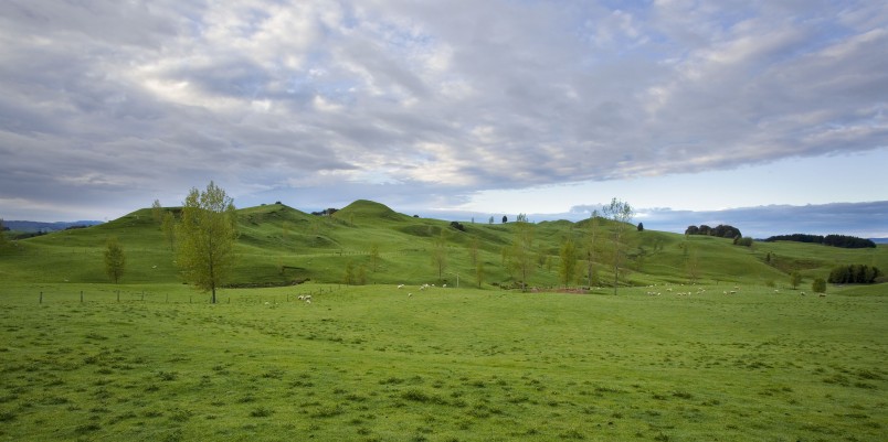 Farmland near Te Kuiti, Waikato, North Island