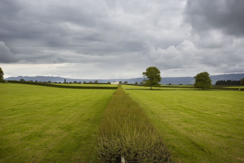 Farmland near Cambridge, Waikato, North Island