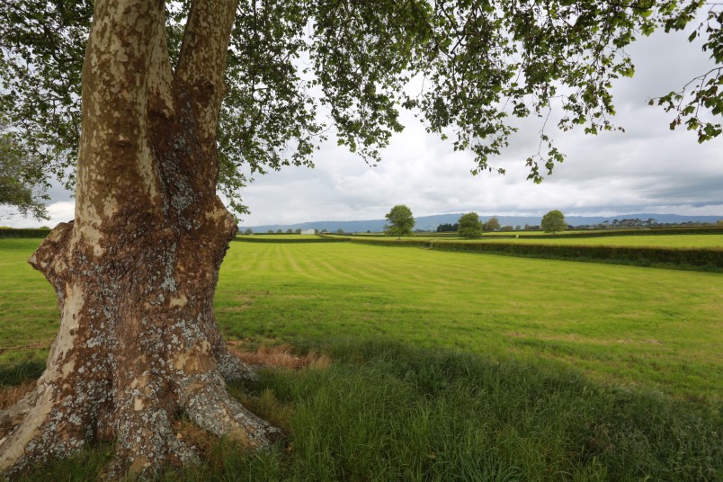Farmland near Cambridge, Waikato, North Island