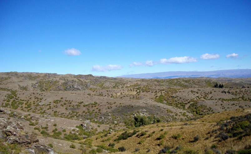 Ida Valley, Otago, South Island