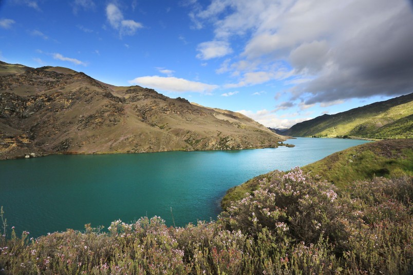 Lake Dunstan, Otago, South Island