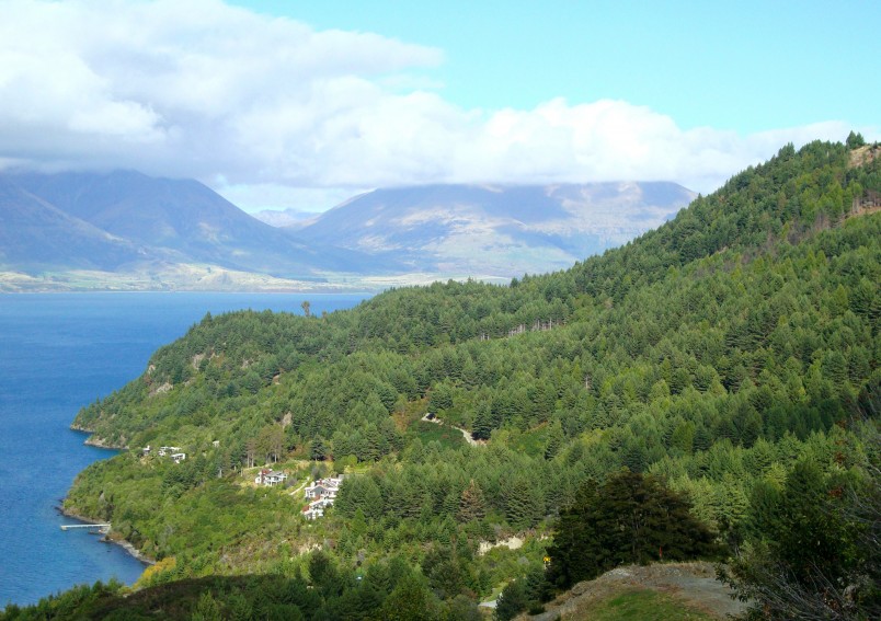 Lake Wakatipu, Otago, South Island