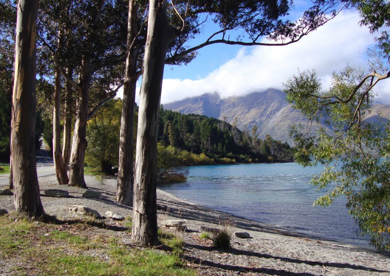 Lake Wakatipu, Otago, South Island