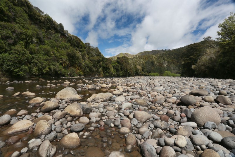 Manganuioteao River, Manawatu-Wanganui, North Island