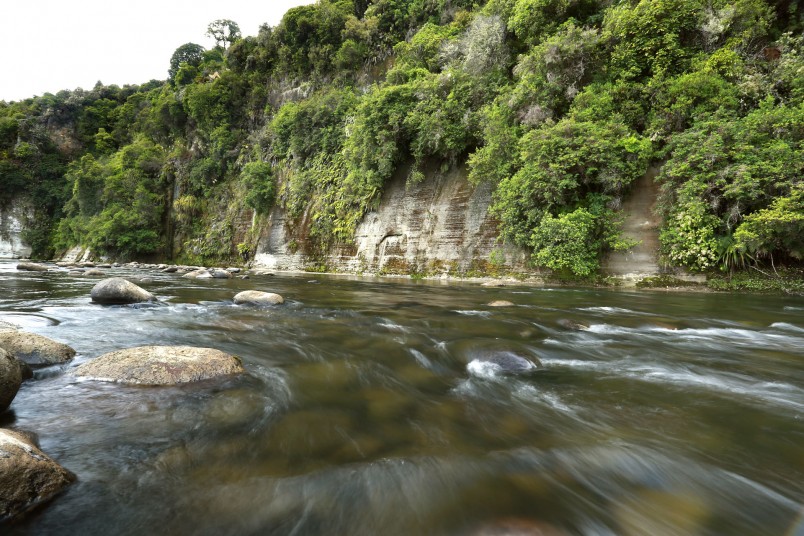 Manganuioteao River, Manawatu-Wanganui, North Island