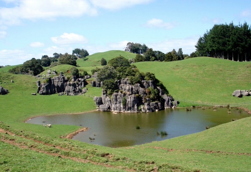 Farmland near Mangaotaki, Waikato, North Island