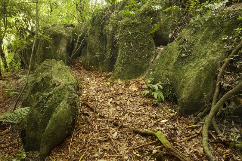 Mangapohue Limestone, Waitomo, North Island