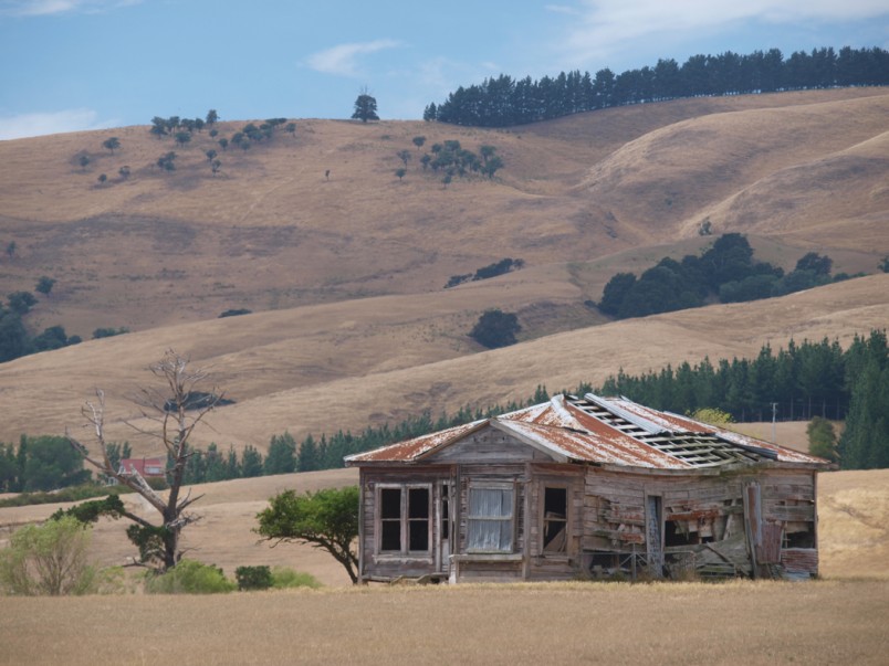 Farmland near Martinborough, Wairarapa, North Island