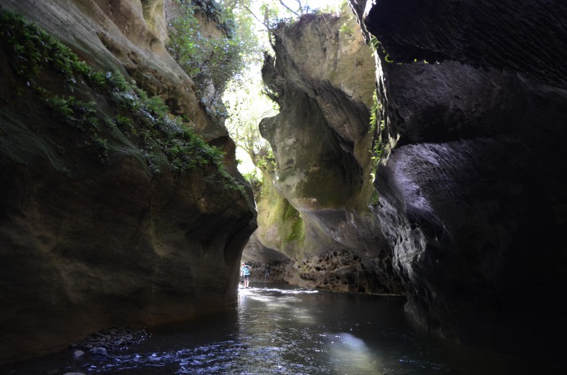 Patuna Chasm, Wairarapa, North lsland