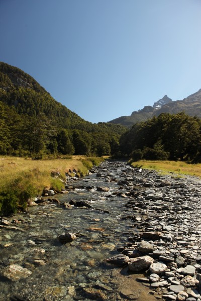 Dart Valley, Glenorchy, South Island