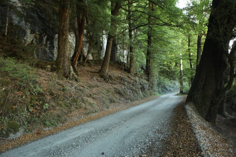 Glenorchy-Paradise Rd, Glenorchy, South Island