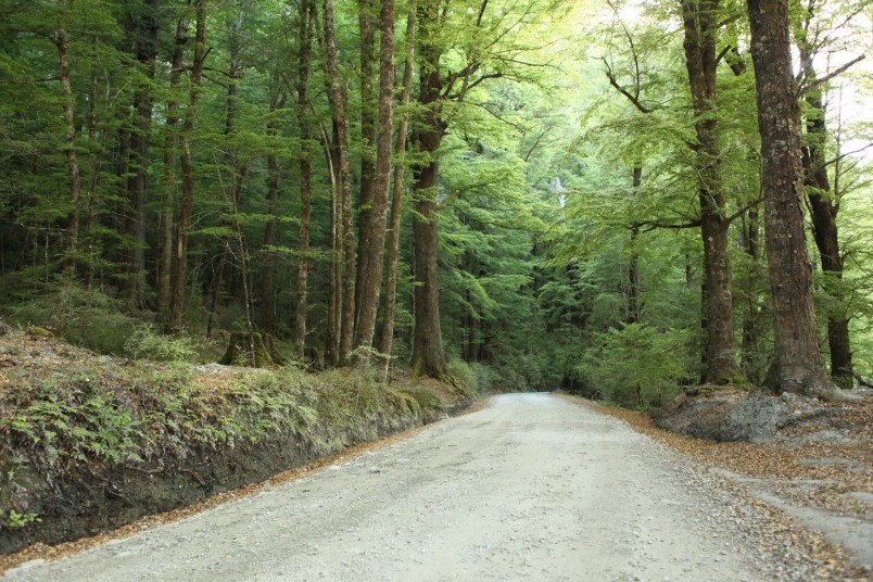 Glenorchy-Paradise Rd, Glenorchy, South Island