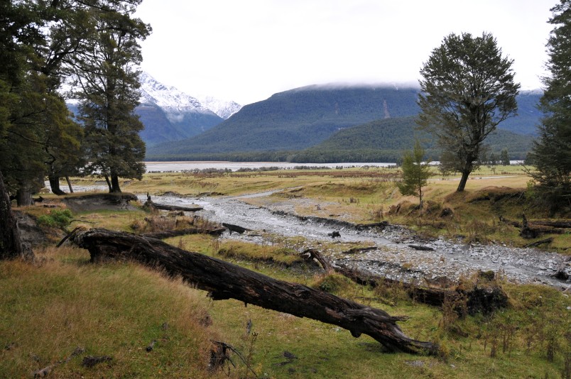 Arcadia Station, Glenorchy, South Island