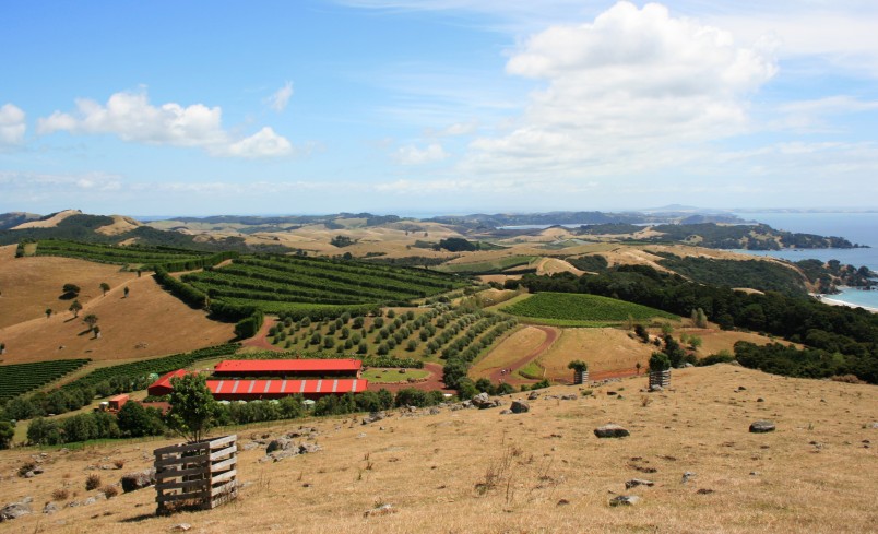 Waiheke Island, Auckland, North Island