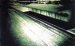 The Platform