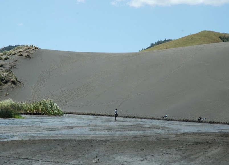 West Coast, Auckland