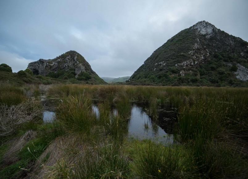 Okia Flat, Dunedin