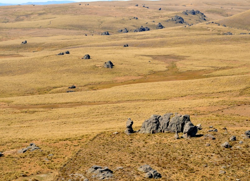 Rock and Pillar Range, Otago