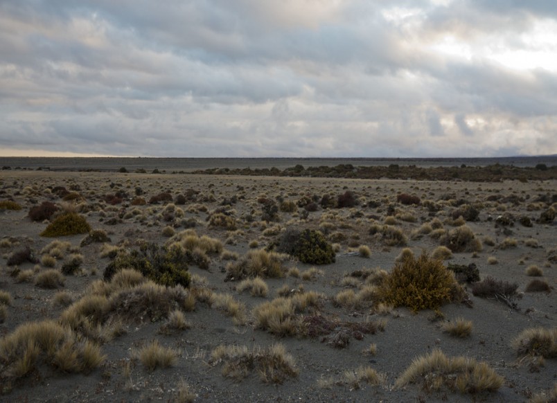 Tukino, Waikato