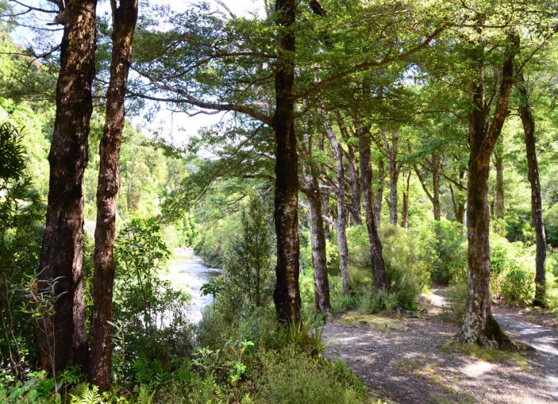 Kaitoke, Wellington