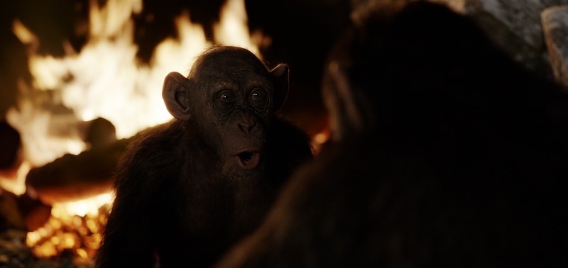 Steve Zahn as Bad Ape