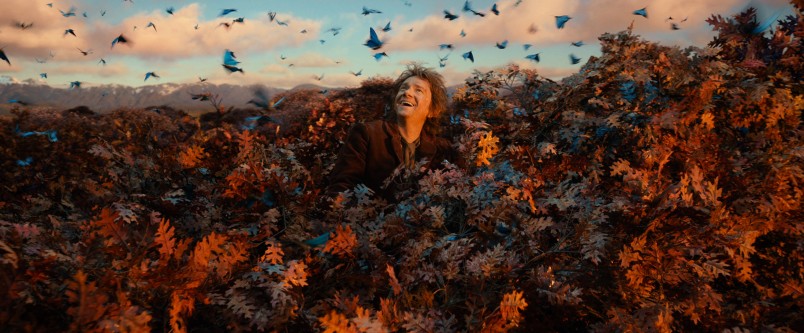 Bilbo (Martin Freeman) emerges from Mirkwood