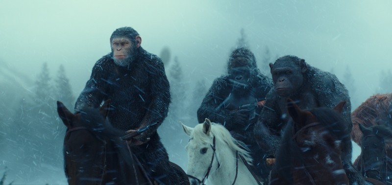 Apes on horseback in the snow