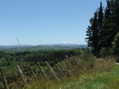 Farmland with Mt Ruapehu in distance, Manawatu-Wanganui, North Island