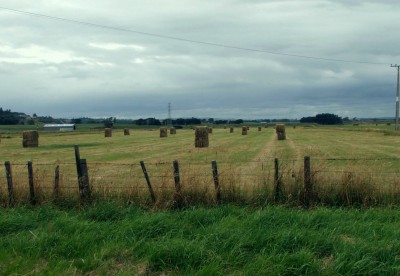 Farmland, Rangitikei, North Island