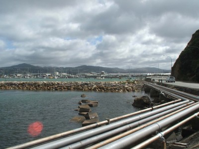 Point Howard, Wellington, North Island