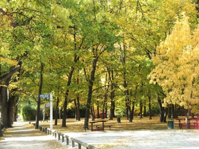 Arrowtown, Otago, South Island