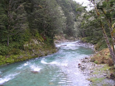 Routeburn track, Glenorchy, South Island