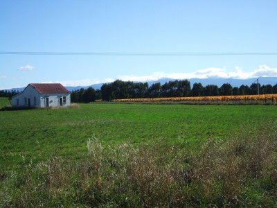 Farmland near Martinborough, Wairarapa, North Island