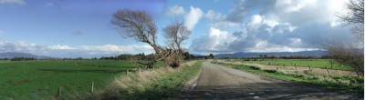 Farmland near Martinborough, Wairarapa, North Island