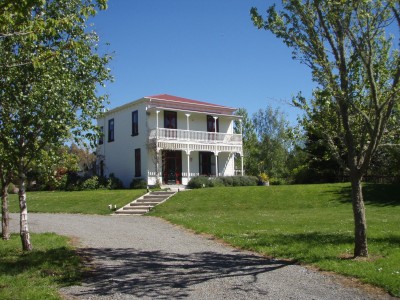 Gladstone Vineyard, Wairarapa, North Island