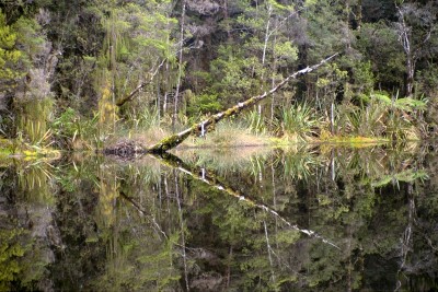 Lake near Karamea, West Coast, South Island