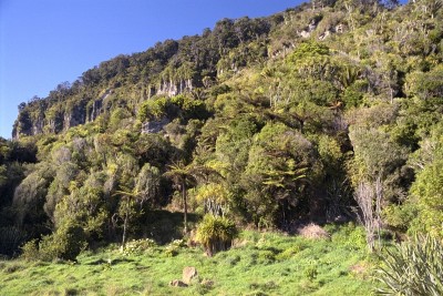 Porarari River, Punakaiki, South Island