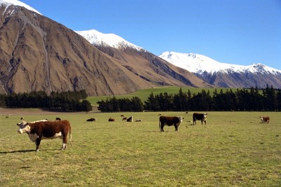 Farm near Methven, Canterbury, South Island
