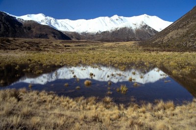 Near Lake Coleridge, Canterbury, South Island
