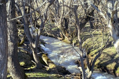 Near Methven, Canterbury, South Island